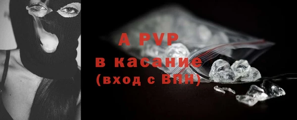 прущие грибы Кодинск