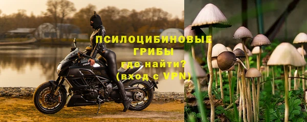 прущие грибы Кодинск