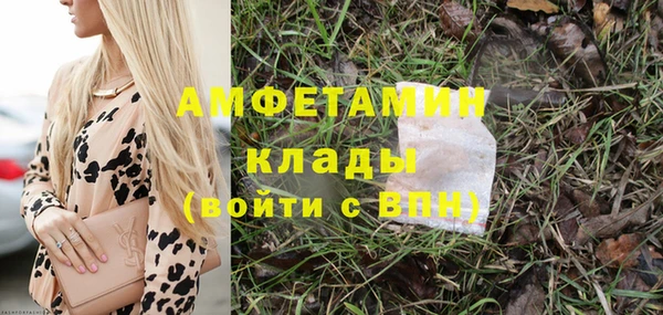 прущие грибы Кодинск