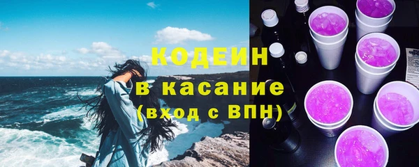 прущие грибы Кодинск