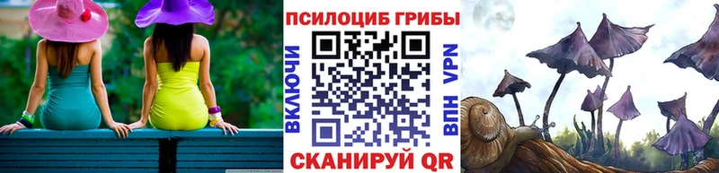 Галлюциногенные грибы прущие грибы  МЕГА ссылка  Называевск  цена  